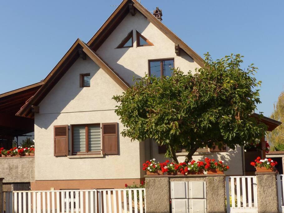 Gite Spacieux Au Coeur De L'Alsace 3*** Селеста Екстер'єр фото