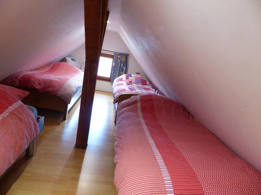 Gite Spacieux Au Coeur De L'Alsace 3*** Селеста Екстер'єр фото