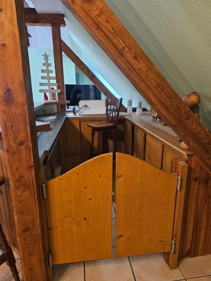 Gite Spacieux Au Coeur De L'Alsace 3*** Селеста Екстер'єр фото
