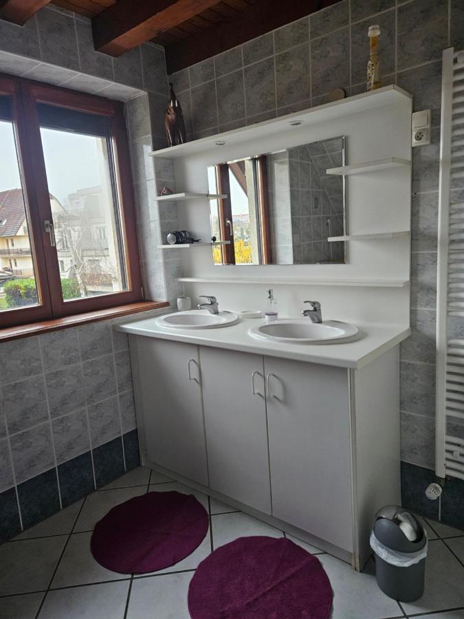 Gite Spacieux Au Coeur De L'Alsace 3*** Селеста Екстер'єр фото