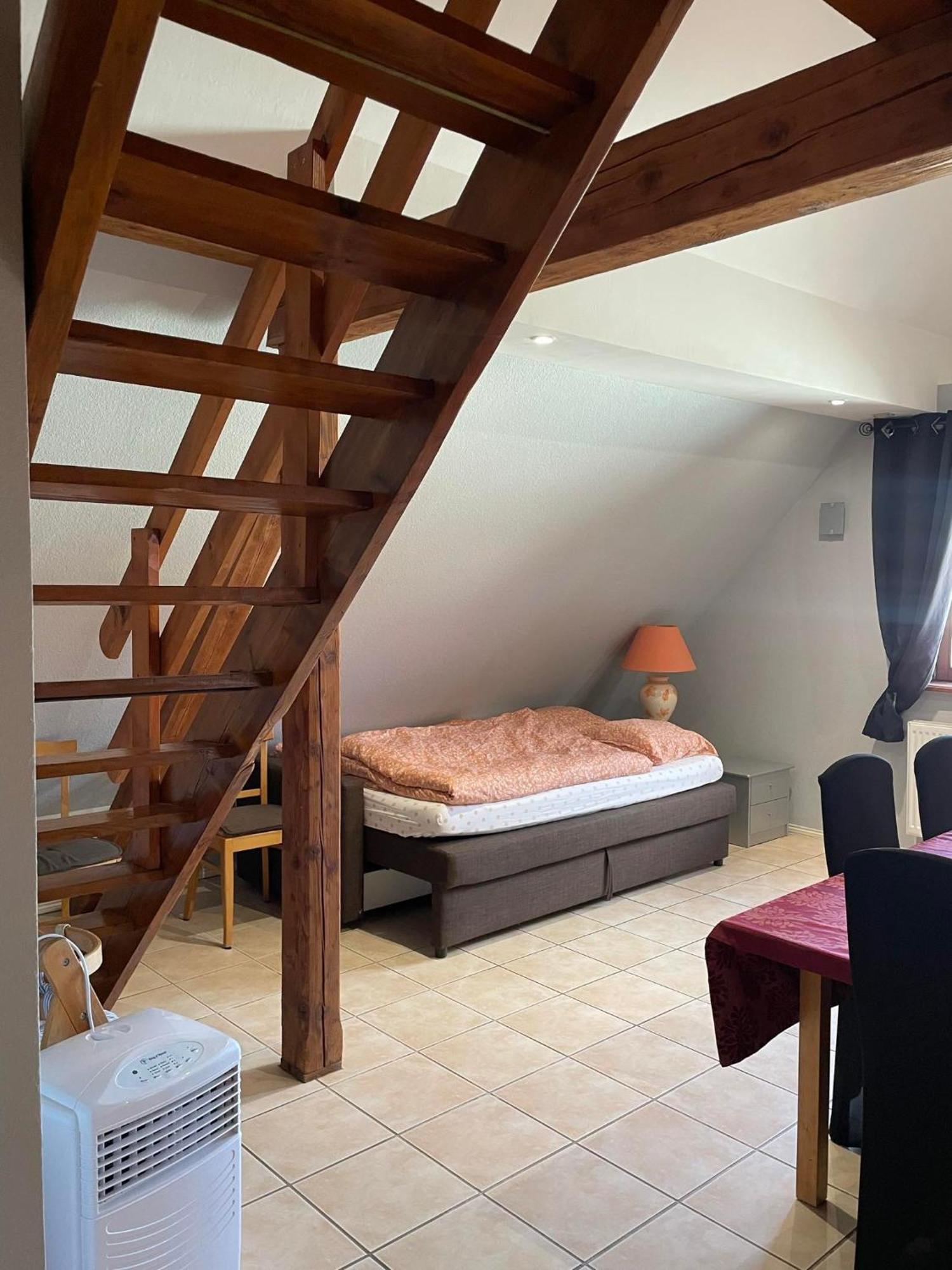 Gite Spacieux Au Coeur De L'Alsace 3*** Селеста Екстер'єр фото