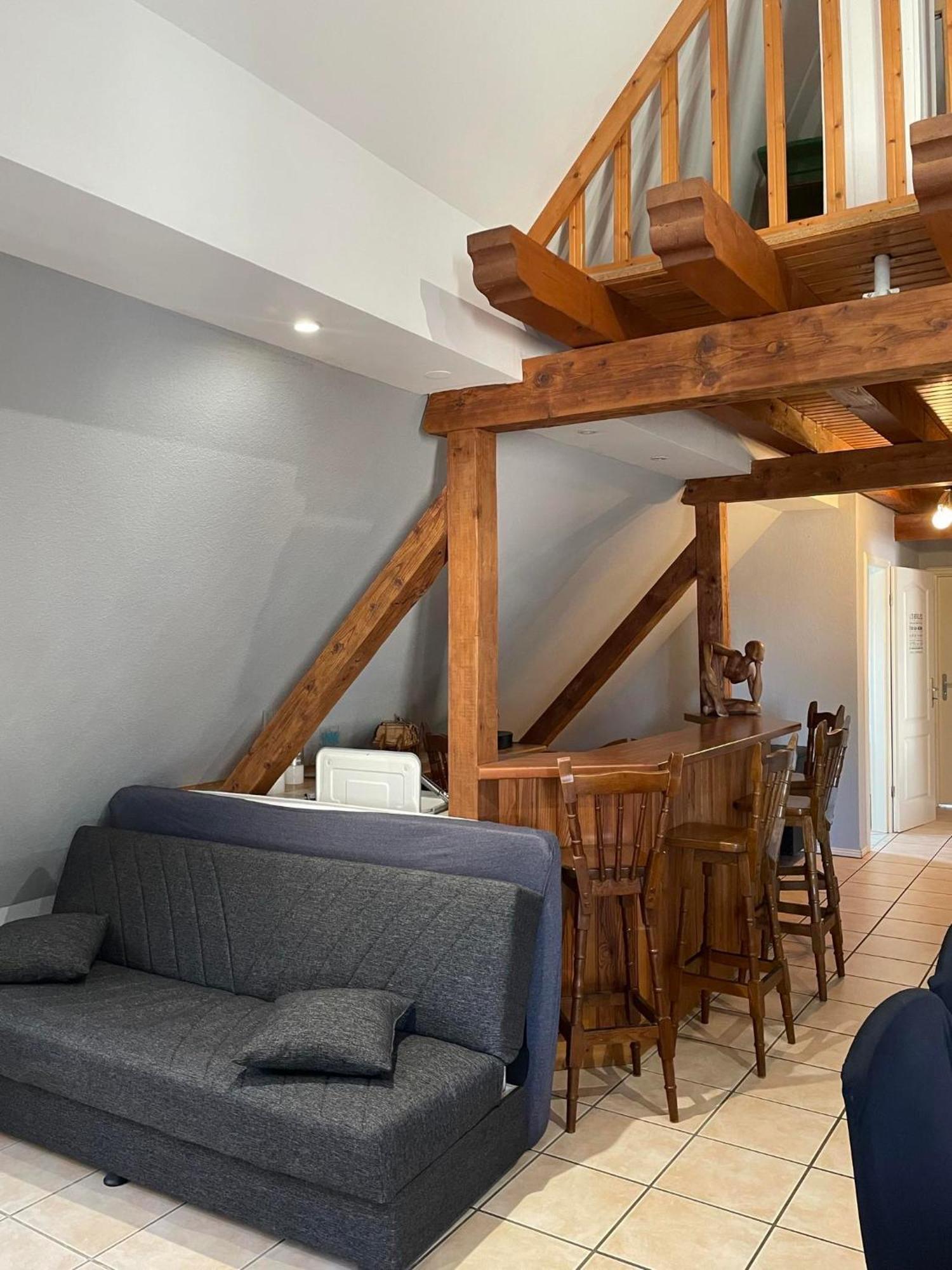 Gite Spacieux Au Coeur De L'Alsace 3*** Селеста Екстер'єр фото